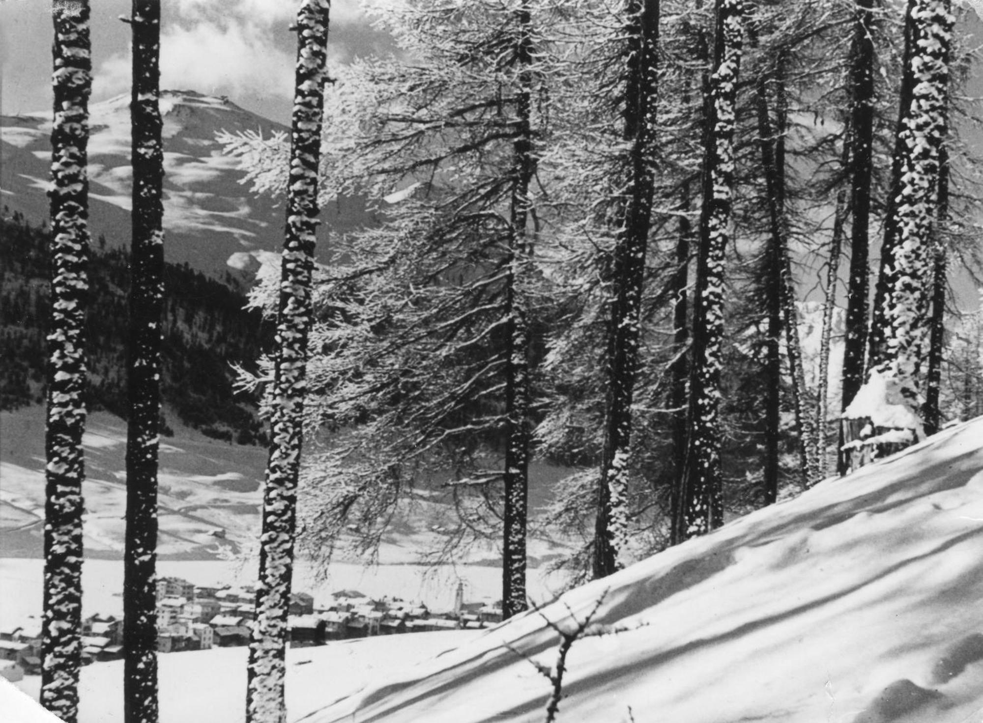 Hotel Livigno Dış mekan fotoğraf